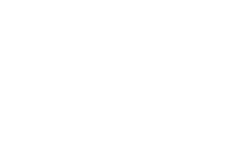 NMV Logo
